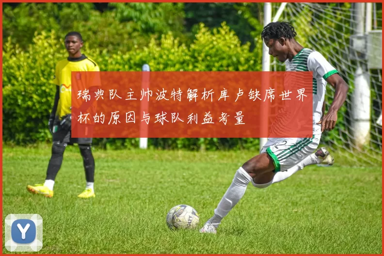瑞典队主帅波特解析库卢缺席世界杯的原因与球队利益考量